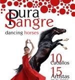 Flamenco y caballos de pura sangre