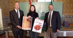 El Martín García Ramos de Albox promocionará a jóvenes intérpretes con dos concursos