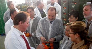 Cítricos del Andarax obtiene ayudas para mejorar su comercialización