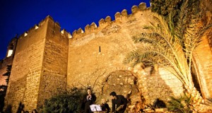 Comprometidos con la Alcazaba de Almería