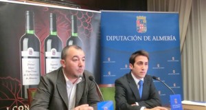 ¿Cuáles son los mejores vinos tintos de Almería?