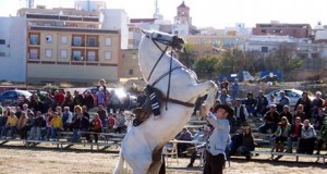 Jinetes de toda Andalucía participaron en un concurso hípico en Alhama
