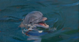 La pintura de García Ibáñez se une a la causa contra la cautividad de los delfines