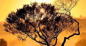 Nueva edición del concurso fotográfico del Día Mundial del Medio Ambiente
