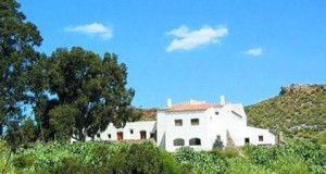 El Saltador se convertirá en punto de encuentro artístico durante este verano