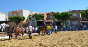 Santa María del Águila vuelve a los tiempos de la trilla