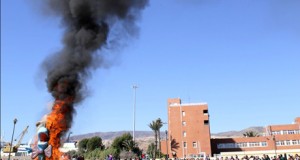 Almería despide el Carnaval con el Entierro de la Sardina