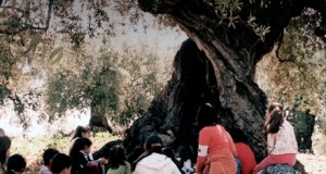 El Museo de Almería acoge las propuestas más frescas del audiovisual andaluz