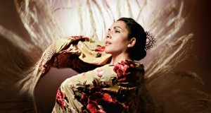 Eva Yerbabuena da el toque flamenco al Festival de Danza de Almería