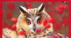 Carboneras inaugura este jueves la exposición ‘Fotógrafos de la Naturaleza 2008’