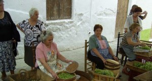 Los oficios antiguos regresan a las calles de Terque