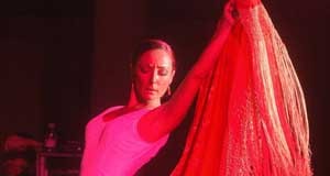 El flamenco se pone al alcance de los niños en Roquetas de Mar