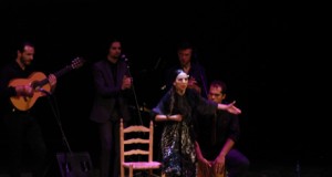 Los flamencos se vuelcan con La Guajira