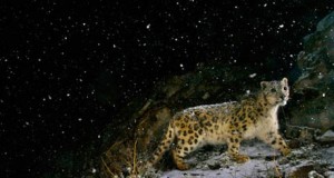 La naturaleza y la fotografía se unen en una muestra en Huércal Overa