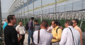 Una delegación egipcia se interesa por la producción sostenible de Almería