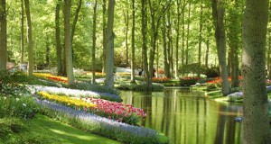 Una muestra recoge las imágenes participantes en el Concurso de Fotografía de Jardines