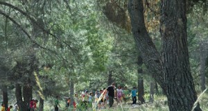 Los parques naturales de Almería se llenan de actividades con el Día Forestal Mundial