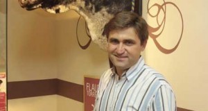Diez años de historia recogidos en el libro ‘Sal y albero’