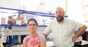 Investigadores almerienses participan en creación de la Enciclopedia de la Vida