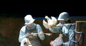 Teatro y música marcan el inicio de A Pie de Calle en Roquetas
