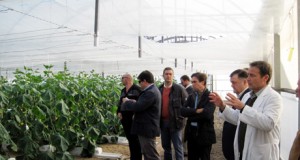 Agricultores cordobeses visitan la provincia para importar el ‘modelo Almería’
