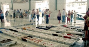 Aumenta casi un 90% el desembarco de productos pesqueros