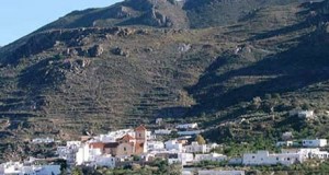 Música, cine y deportes llenan de actividad veraniega Lucainena