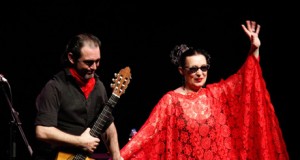 Un dulce ‘martirio’ al ritmo de Chavela
