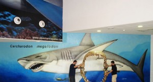 Una mandíbula de megalodón de más de dos metros para paliar la difícil situación del Aquariun de Roquetas