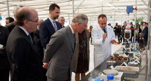 Carlos de Inglaterra se interesa por las microalgas almerienses