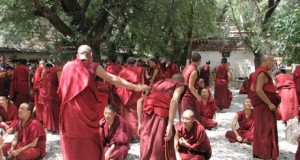 Del Tibet a Almería para purificar el medio ambiente