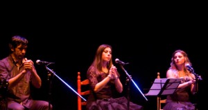 Almería se vuelca con la Navidad Flamenca