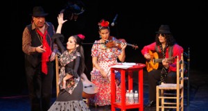 Primeras semifinales y pregón para un carnaval que gana adeptos