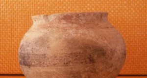 El Museo de Adra recibe nuevas ánforas romanas y fenicias cedidas por vecinos