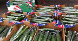 Empresas almerienses donan 4,5 millones de kilos de frutas y hortalizas a Banco de Alimentos