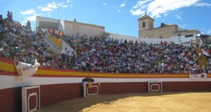 Futuros valores del toreo se miden en una novillada en Berja