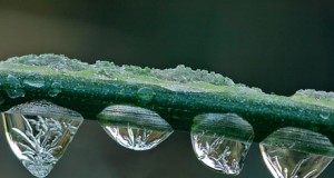 La belleza de la naturaleza almeriense recibe un galardón