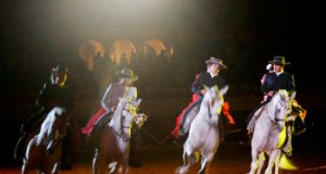 Más de cincuenta caballos sorprenderán a los veratenses en ‘Carnival of horses’