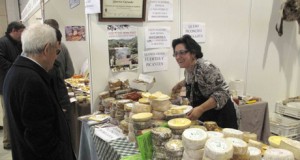 Los mejores maestros queseros reúnen sus productos en la Plaza Vieja