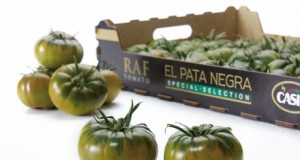 CASI pone a la venta sus mejores raf en la tienda on line