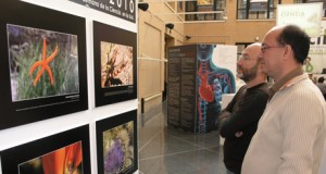 Más de 2.000 alumnos de toda la provincia participan en la Semana de la Ciencia