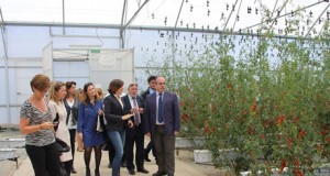 Tecnova pone su nuevo Centro Experimental al servicio del sector agrícola