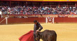La ‘división de opiniones’ no puede con el tentadero infantil de Roquetas