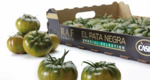 CASI abre su tienda on line de tomate raf