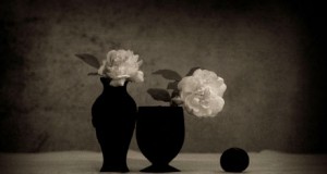 Tony Catany, Premio Nacional de Fotografía, imparte un taller de naturaleza muerta en el CAF