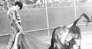 Roquetas de Mar ya tiene un torero