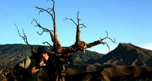 Diputación estrena «Afal, una mirada libre», «Enemigos», «3.000 horas de luz», y «Tu (A)mor»