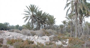 Los yacimientos romanos de Almería se podrán seguir con Google Maps