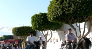 Llanos de Vícar se prepara para celebrar sus fiestas patronales en honor de San Fernando Rey