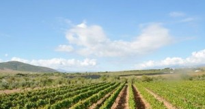 Diputación apuesta por concentrar en una la oferta de ferias de la Alpujarra